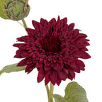 Dahlia Burgundy Raven Stem Artificial Flower Stem