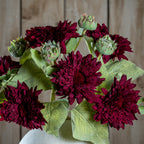 Dahlia Burgundy Raven Stem Artificial Flower Stem