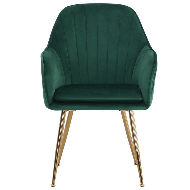 2Pcs Modern Velvet Upholstered Dining Chairs with Polished Gold Legs - Dining Chair - British D'sire