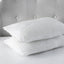 Product Image-2