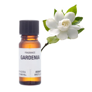 Amphora Aromatics Gardenia Fragrance 10ml Main image