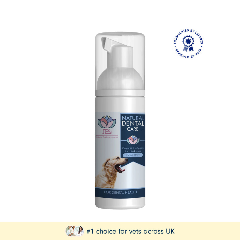 Natural Toothpaste for Dogs & Cats