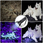 51 LEDs 395nm UV LED Flashlight, Support Detect Pet Urine - British D'sire