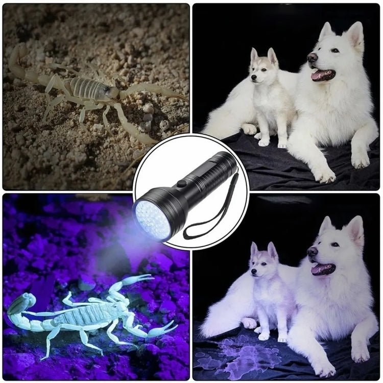 51 LEDs 395nm UV LED Flashlight, Support Detect Pet Urine - British D'sire