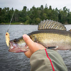 5.5CM-11G 4colors / Box HENGJIA Long Casting Metal False Bait Freshwater And Saltwater Universal Lure - British D'sire