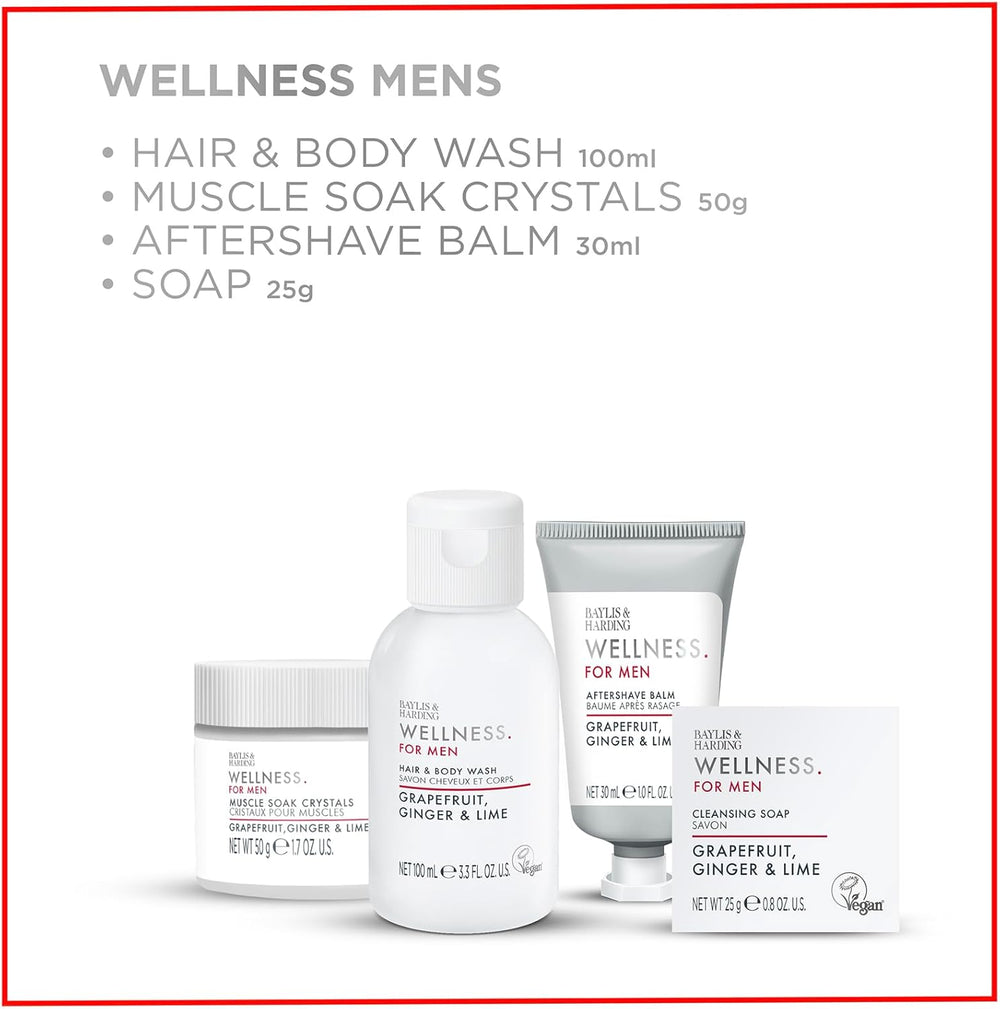 BAYLIS & HARDING WELLNESS FOR MEN ESSENTIAL WELLBEING SET