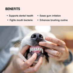 Natural Toothpaste for Dogs & Cats