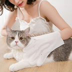 6pcs /Pack KIMHOME Pet No - Rinse Gloves Wipes Dogs Cats Bathing Deodorizing Cleaning Dry Cleaning Pet Supplies - British D'sire