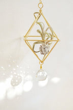 7 Chakra Crystal Airplant Suncatcher - Suncatchers - British D'sire
