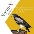 Verm-X Original Powder for Raptors