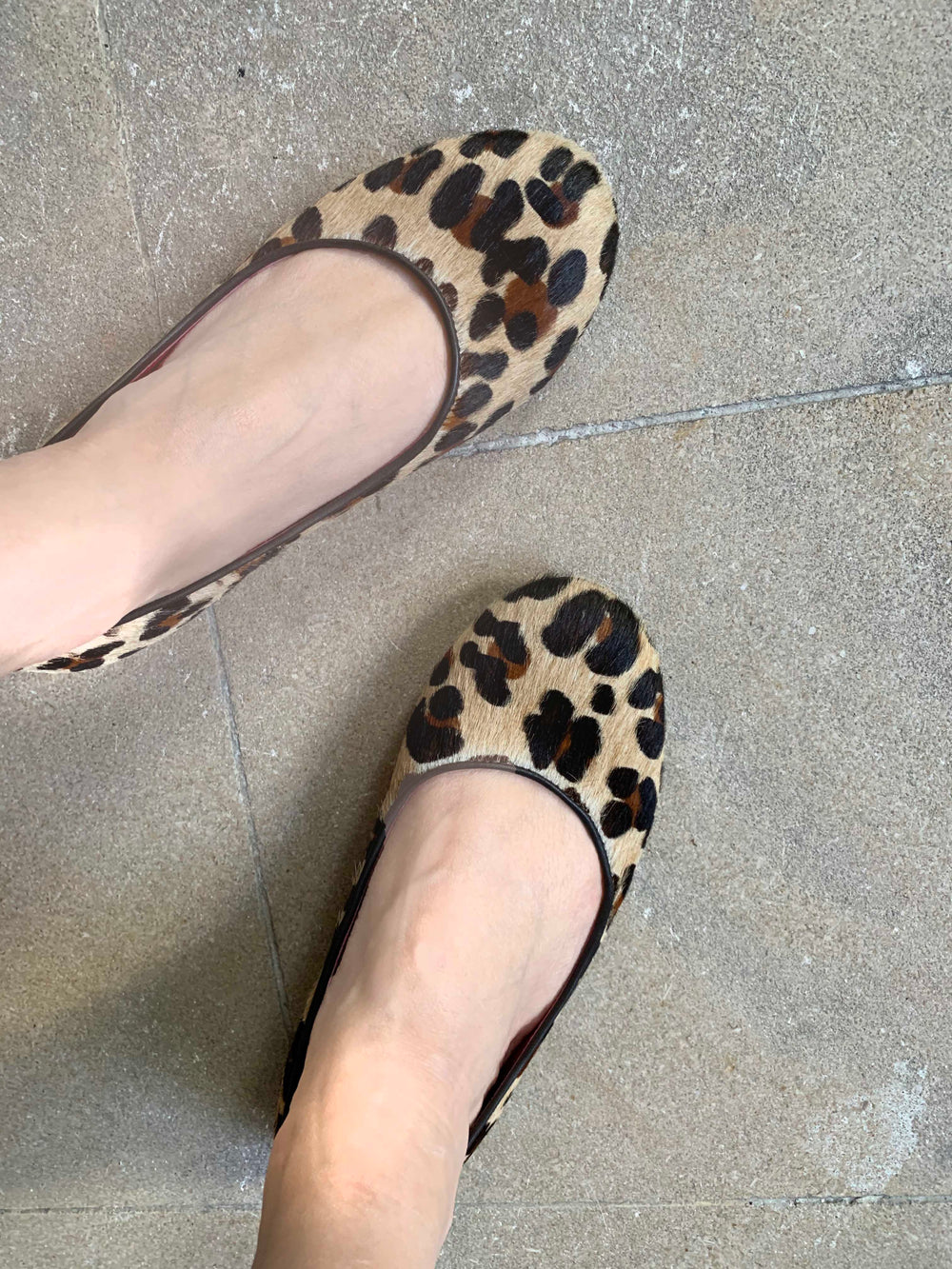 Coquette - Leopard ballerina - Chanii B