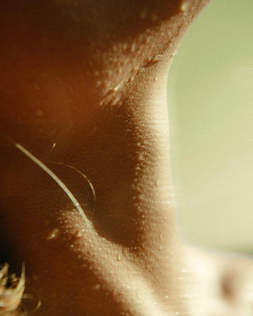 Gentle Harmony - Sensitive Skin Face & Body Cleanser Selfnamed