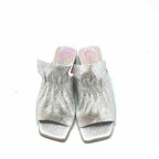 Fizzy-Silver slide - Chanii B