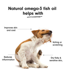 Natural Omega-3 Oil For Dogs