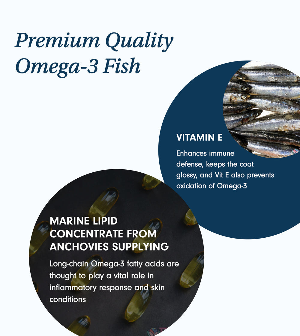 Natural Omega-3 Oil For Dogs