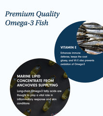Natural Omega-3 Oil For Dogs