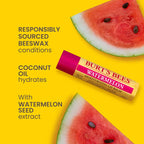 Burt's Bees Freshly Picked Lip Balm Four Pack