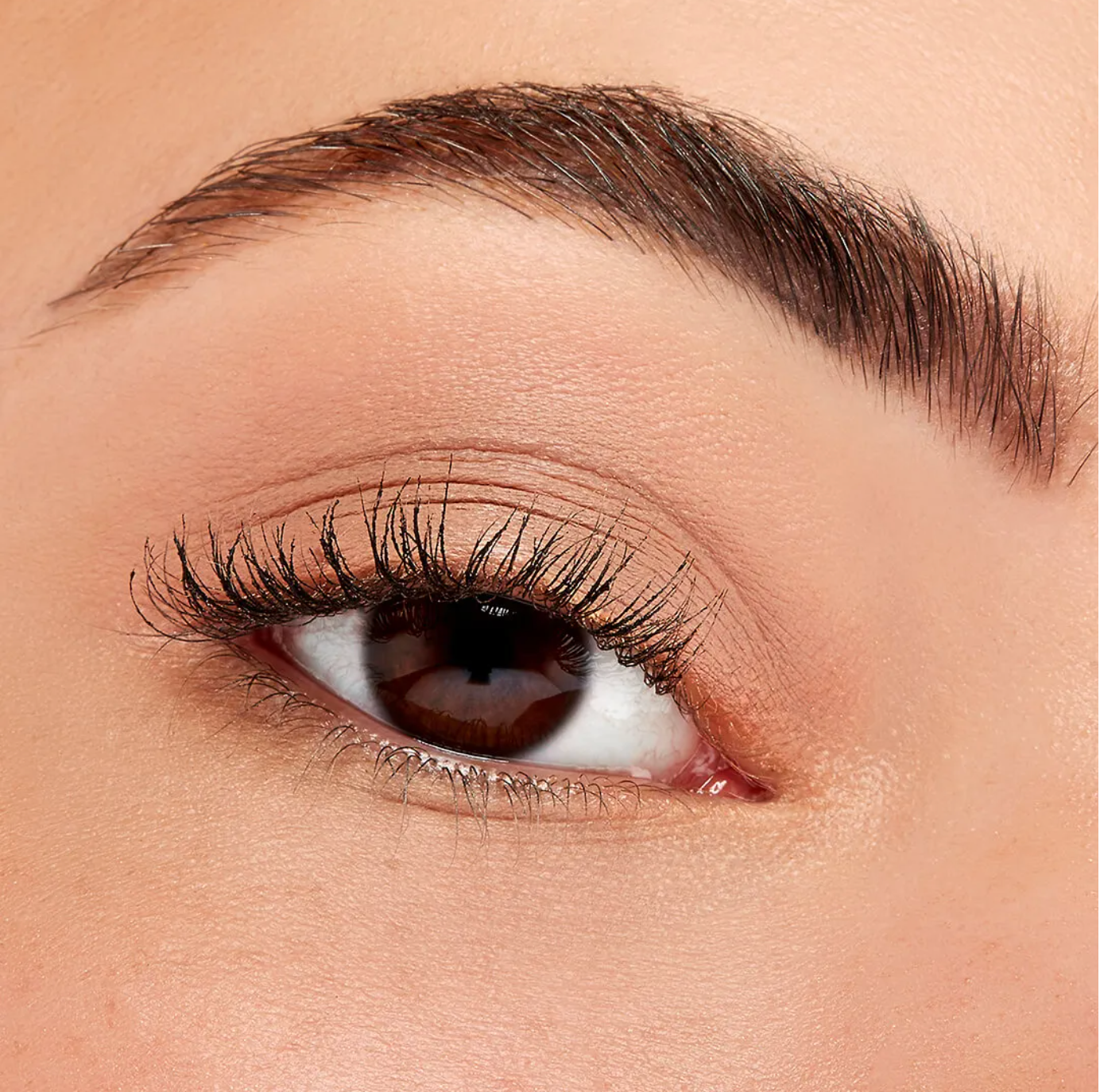 Sigma Beauty Eyeshadow Base Primer - Earthen
