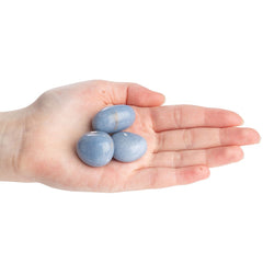 Product Image-1