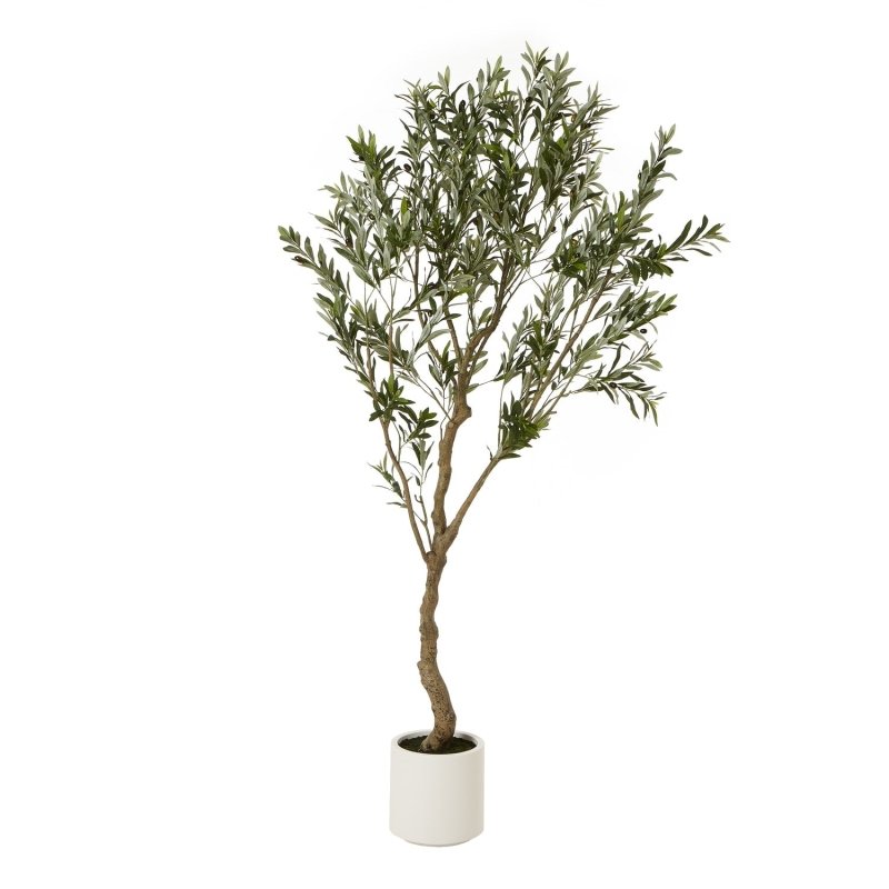 Apulia Olive Tree In White Pot 200Cm Artificial Flower Stem - Artificial Plants & Trees - British D'sire Main image