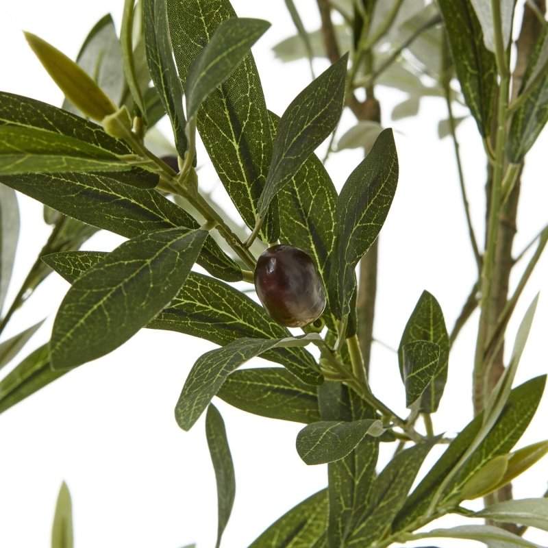 Apulia Olive Tree In White Pot 200Cm Artificial Flower Stem - Artificial Plants & Trees - British D'sire