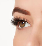 Ardell Aqua Lashes 340 - False Eyelashes - British D'sire