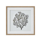 Atol Coral Art Mounted In Beaded Frame - Wall Art & Signs - British D'sire