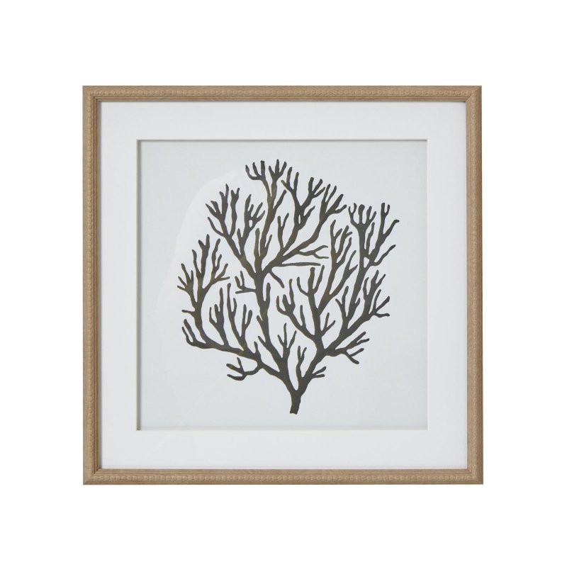 Atol Coral Art Mounted In Beaded Frame - Wall Art & Signs - British D'sire