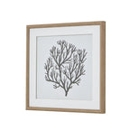 Atol Coral Art Mounted In Beaded Frame - Wall Art & Signs - British D'sire