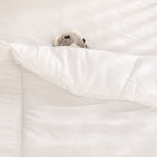 Baby & Child Cot set Duvet and Pillow - British D'sire