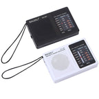 BAIJIALI BJL228 Retro Portable Two Band FM AM Radio Built - in Speaker(Black) - British D'sire