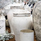 Bloomville Large Stone Ginger Jar - Jar & Jugs - British D'sire