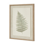 Bracken Art On Texture-Torn Paper With Beaded Frame - Wall Art & Signs - British D'sire
