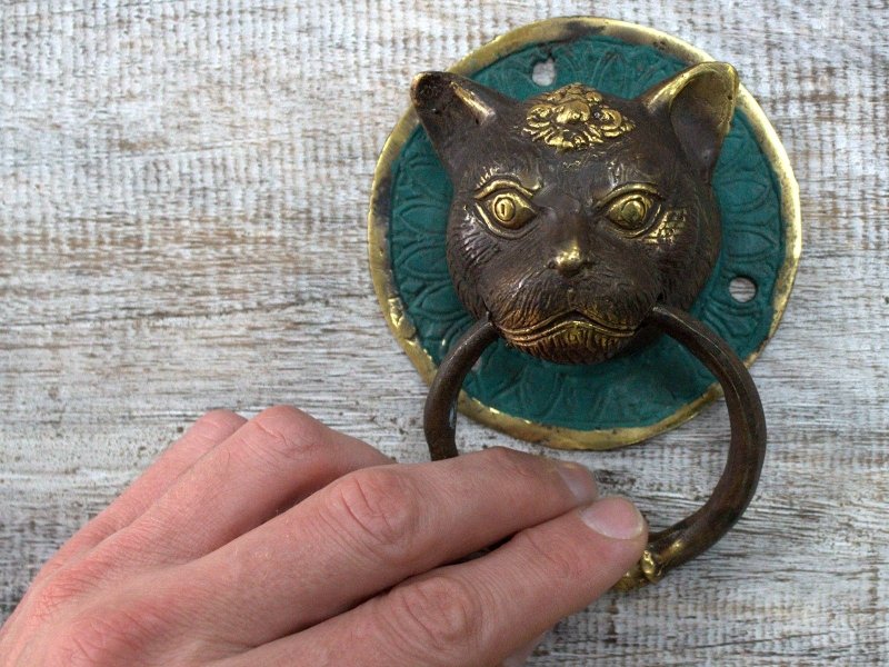 Brass Door Knocker - Cats Head - Door Knockers - British D'sire
