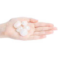 Product Image-1