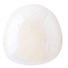 Product Image-3