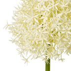 Cream Medium Allium Stem Artificial Flower Stem - Artificial Plants & Trees - British D'sire
