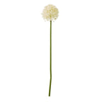 Cream Medium Allium Stem Artificial Flower Stem - Artificial Plants & Trees - British D'sire