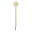 Cream Medium Allium Stem Artificial Flower Stem - Artificial Plants & Trees - British D'sire