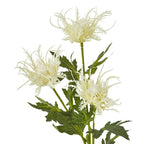 Cream Sea Holly Spray Artificial Flower Stem - Artificial Plants & Trees - British D'sire