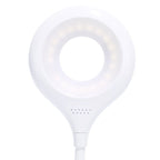 Deli 4326 Three - gear Adjustable Ring USB Charging Desk Lamp with Pen Holder - British D'sire