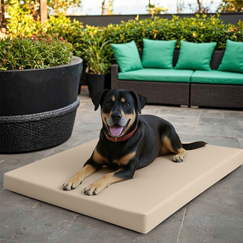 Dog Mat Bed - British D'sire