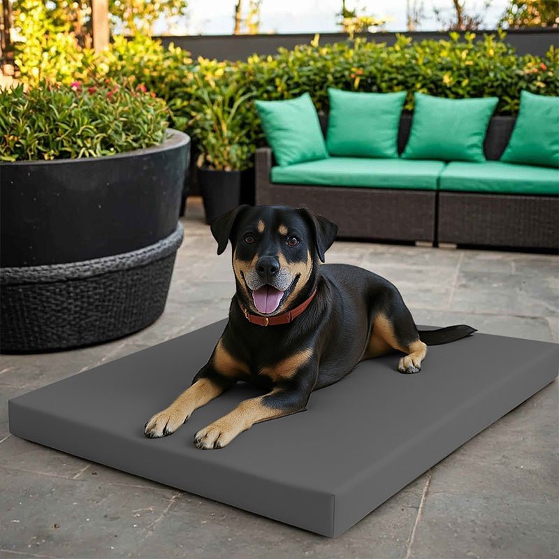 Dog Mat Bed - British D'sire
