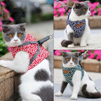 DogLemi Pet Cat Traction Rope Chest Harness Vest Type Traction Suit Cat Walking Rope, Size:XS(Green) - British D'sire