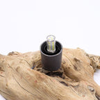 DriftGlow Lamp Grey Luna Shade - DriftGlow Lamps - British D'sire