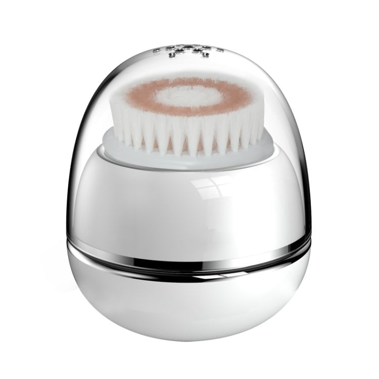 Duosi DY - 103 USB Rechargeble Electric Facial Cleansing Brush Waterproof Face Deep Pore Cleaning Massager Exfoliator Oil Dirt Blackhead Remove - British D'sire