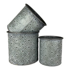 Embossed Daisy Designed Planters Set of 3 - Plant Pot - British D'sire
