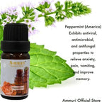 Essential Oils Gift Set, Fragrance Oil Aromatherapy Diffuser Essential Oils Set - AROMATHERAPY ESSENTIAL OILS - British D'sire