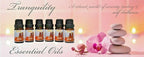 Essential Oils Gift Set, Fragrance Oil Aromatherapy Diffuser Essential Oils Set - AROMATHERAPY ESSENTIAL OILS - British D'sire