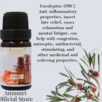 Essential Oils Gift Set, Fragrance Oil Aromatherapy Diffuser Essential Oils Set - AROMATHERAPY ESSENTIAL OILS - British D'sire